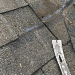 hail damage to roof shingles