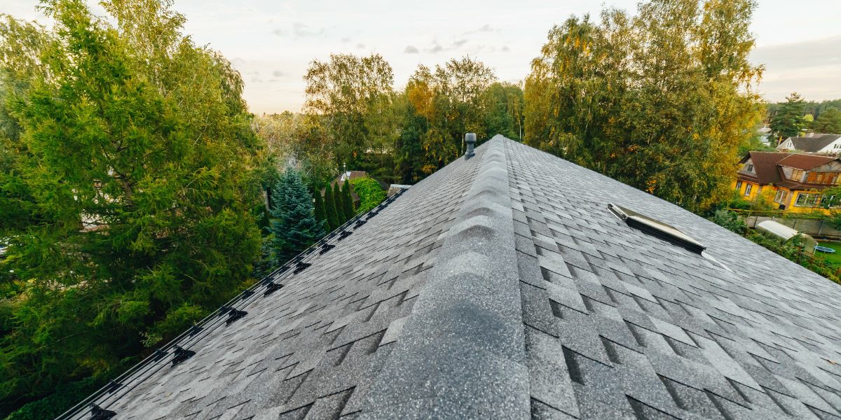 old roof shingles